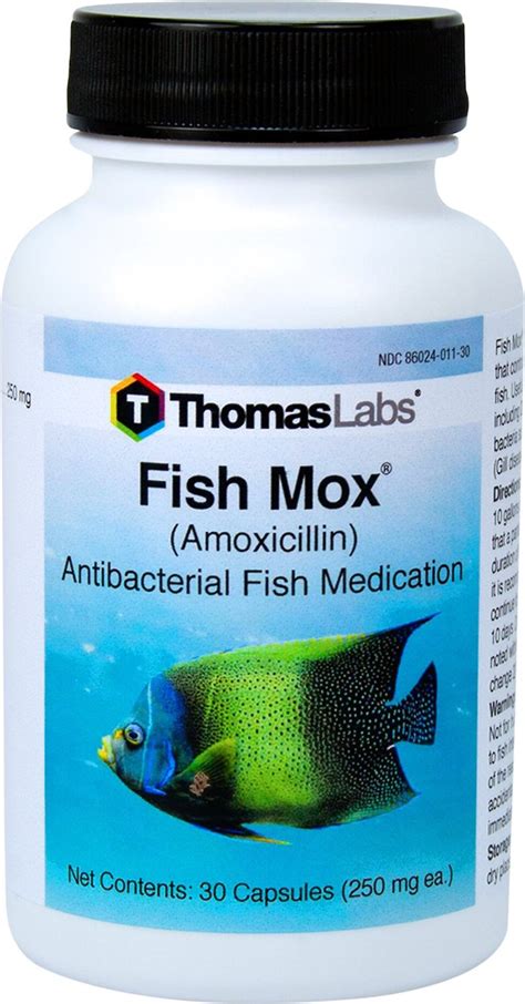 thomas labs fish mox|Fish Mox (Amoxicillin): What is it, Uses, Dosage, Ingredients